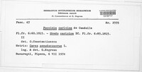 Image Associated With the Occurence